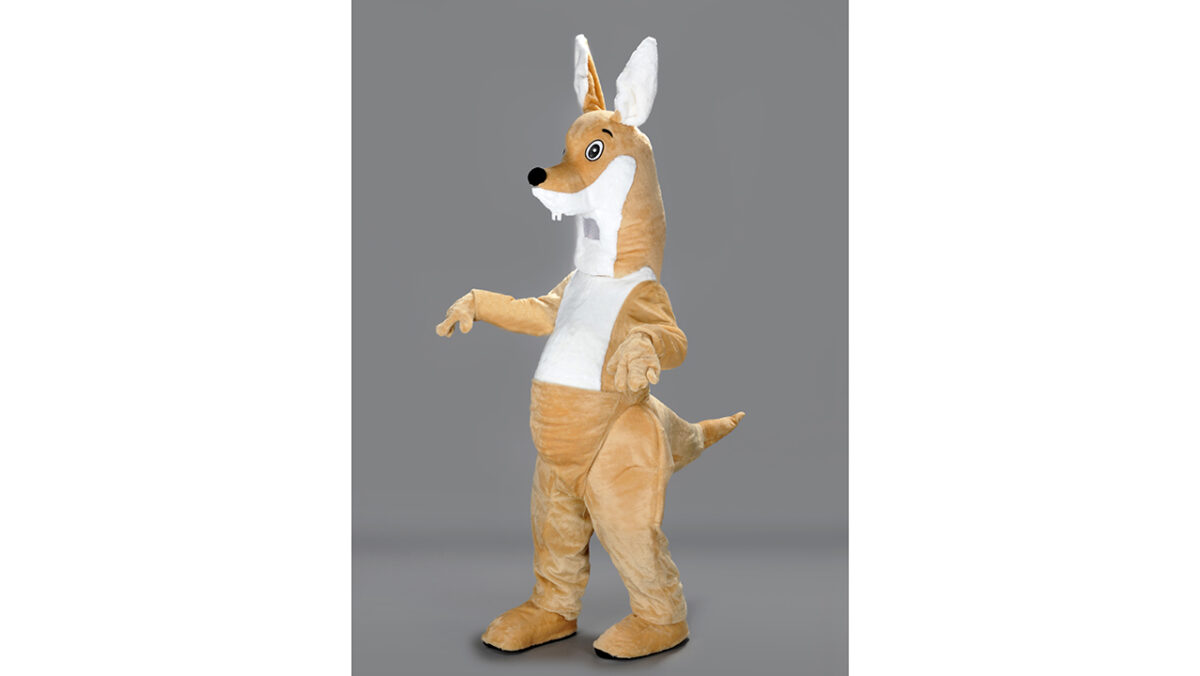 LAPIN BRUN