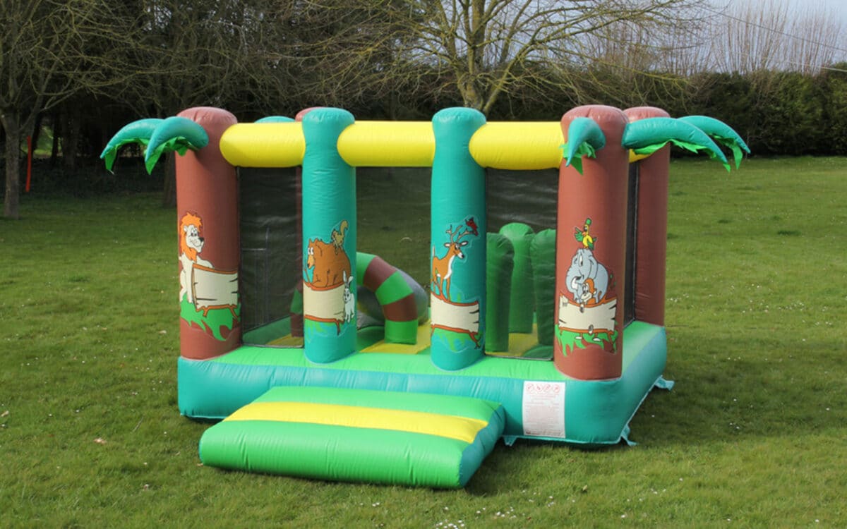 DOUBLE ARCHE TOBOGGAN FERME GONFLABLE