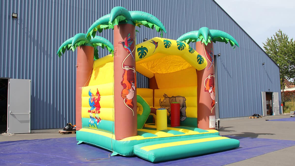 DOUBLE ARCHE TOBOGGAN FERME GONFLABLE