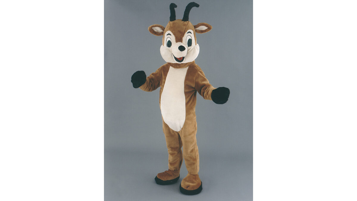 CHAMOIS