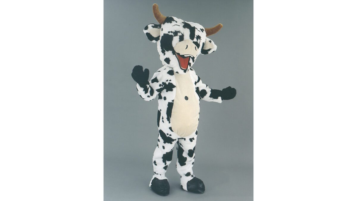 VACHE NOIRE ET BLANCHE