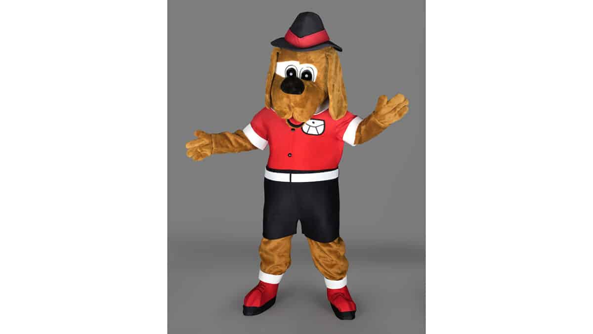 CHIEN GARDE FORESTIER