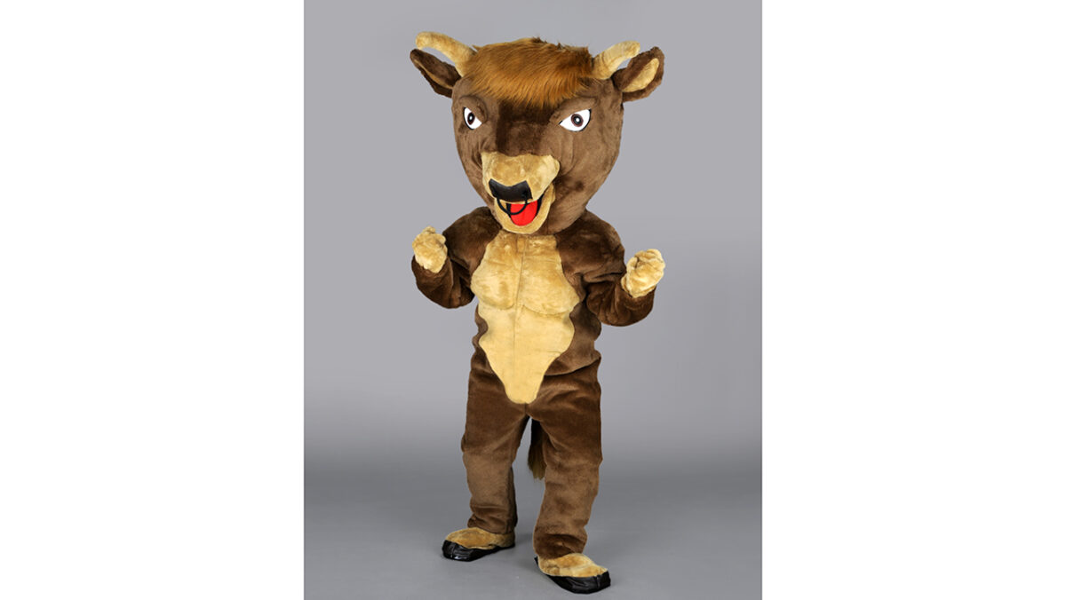 TAUREAU