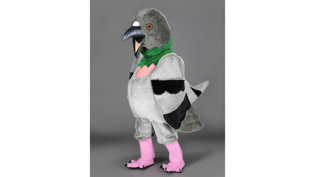 PIGEON