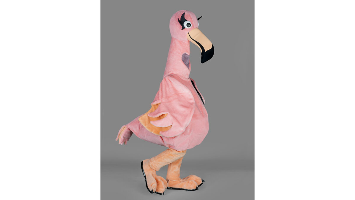 FLAMAND ROSE
