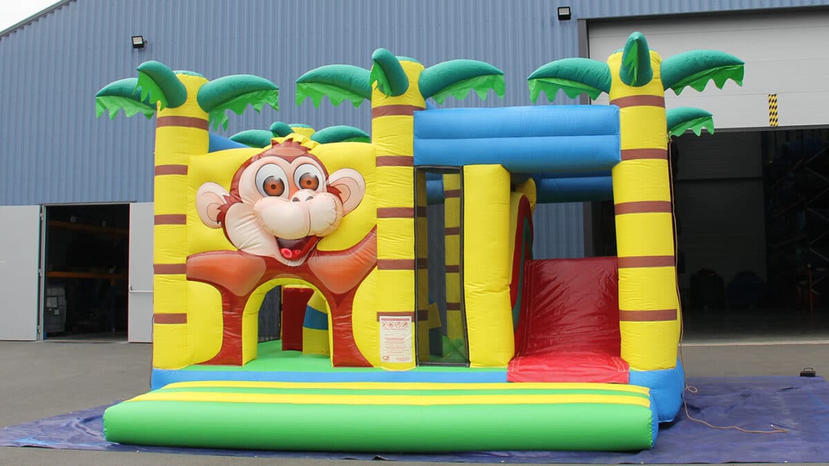 MULTIPLAY SINGE