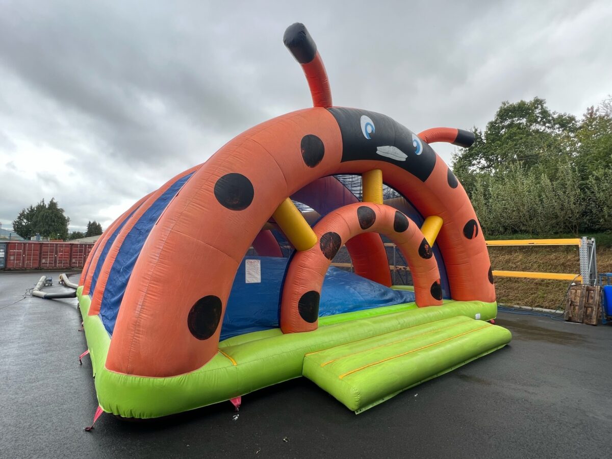 DUNE XXL LA COCCINELLE