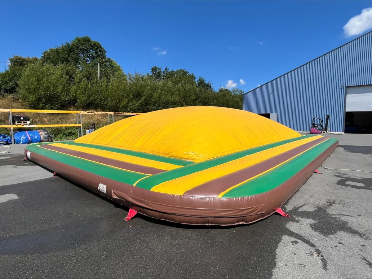 PEAU DE BANANE