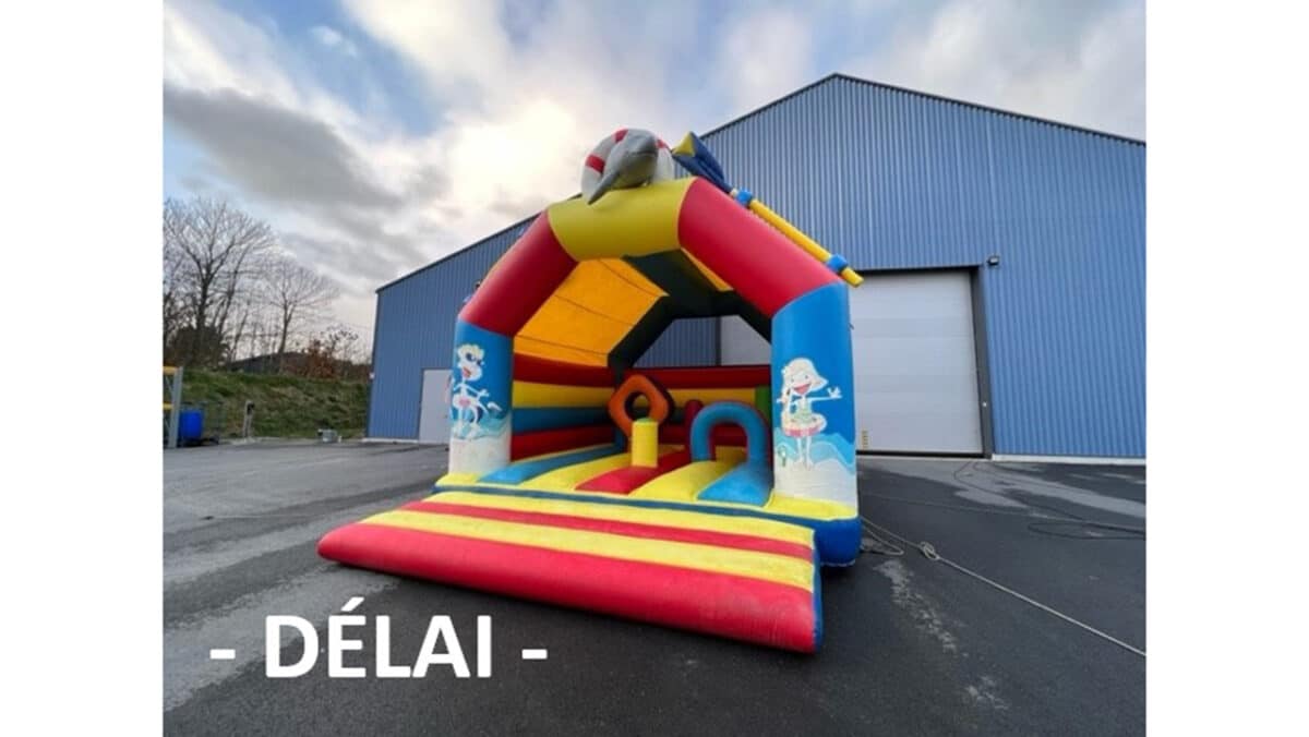 DOUBLE ARCHE DAUPHIN AVEC OBSTACLES