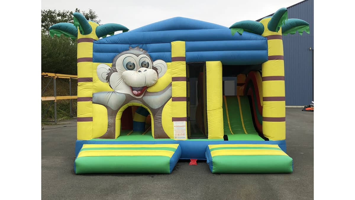 MULTIPLAY SINGE AVEC TOIT