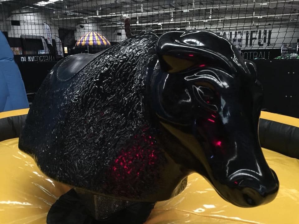 SUJET TAUREAU POLYESTER CORNES MOULÉES