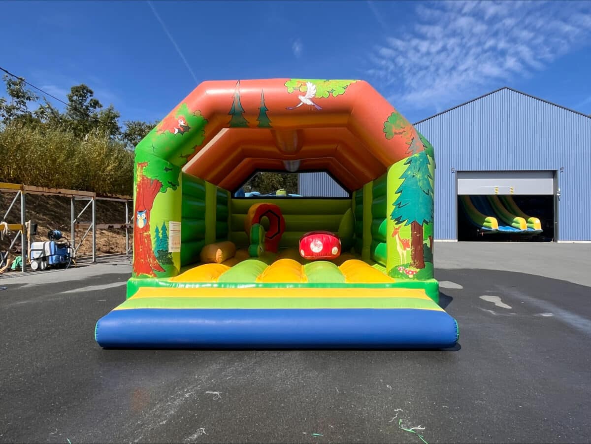 KID&rsquo;S LAND PIEUVRE GONFLABLE