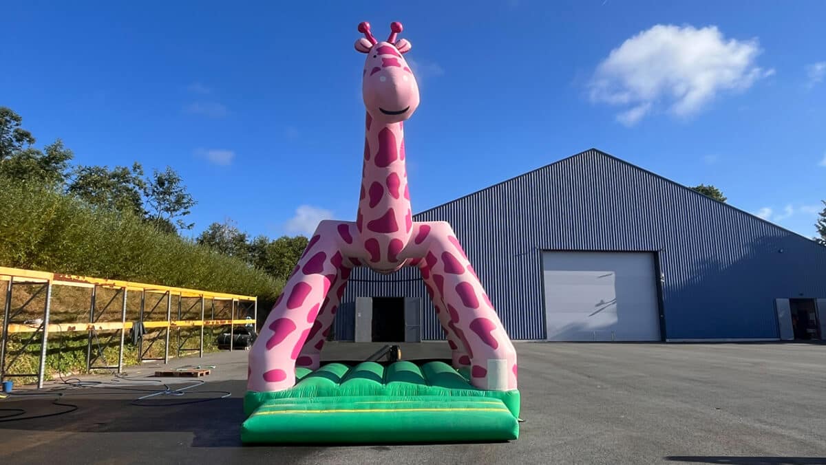 GIRAFE ROSE