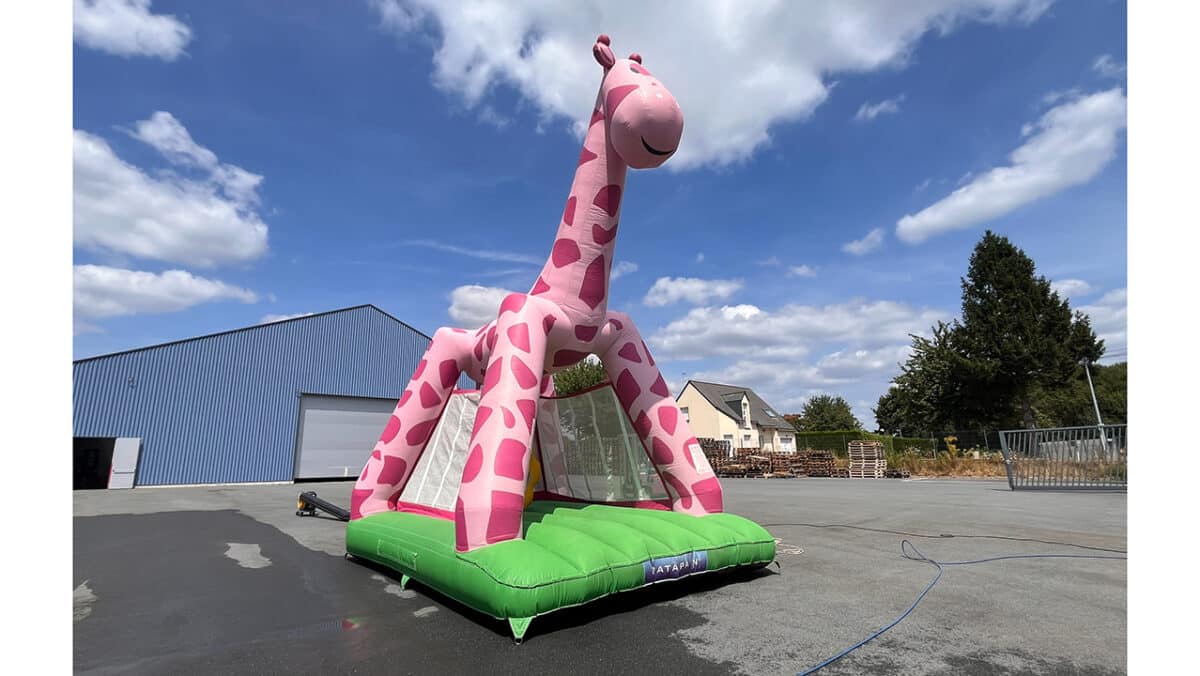 GIRAFE ROSE